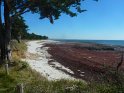 2015-10-01 13-39-19 St Gildas - Chateau de Suscinio MBo